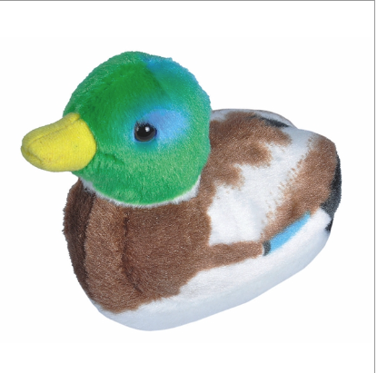 Stuffed Animal: Mallard Duck